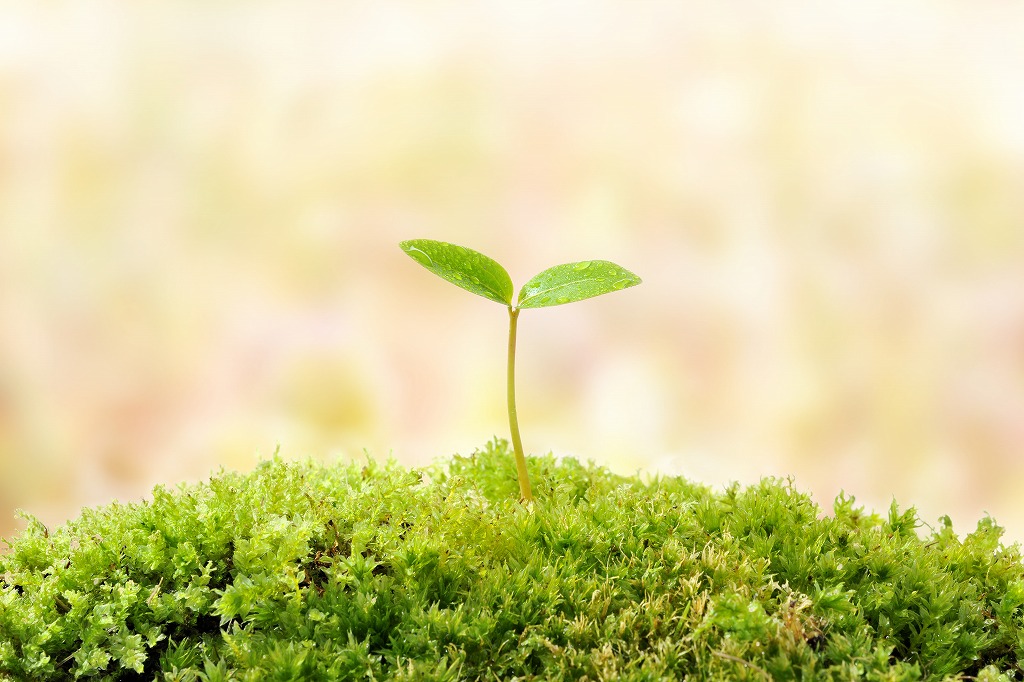 未経験から手に職を！株式会社TAKEDAGUMIの型枠工事の魅力